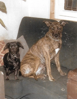 Billy & Tanya
